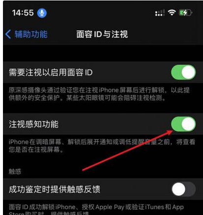 东坑镇苹果14维修网点分享iPhone14注视感知功能有什么用 